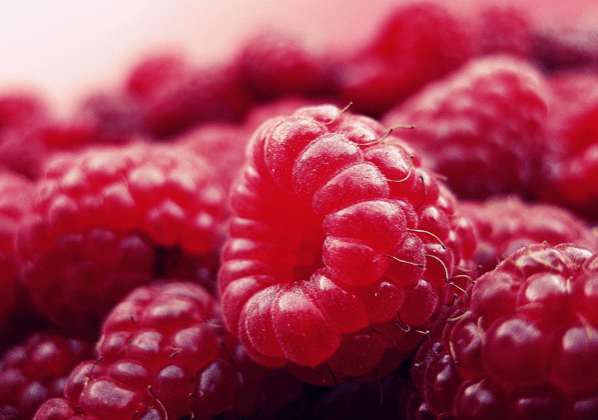 raspberry seed oil benefits