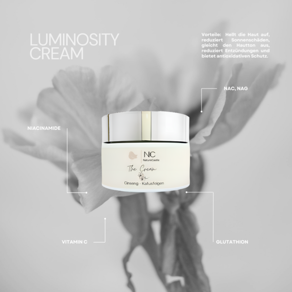 Luminosity Cream Hauptzutaten