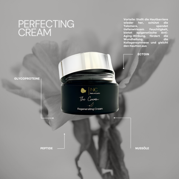 Perfecting Cream Hauptzutaten