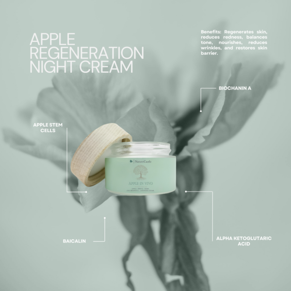 Apple Regeneration Night Cream Key Ingredients