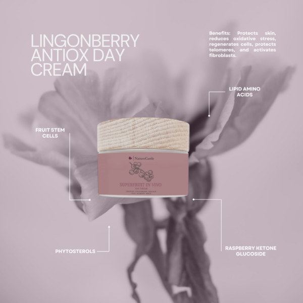 Lingonberry Antiox Day Cream Key Ingredients