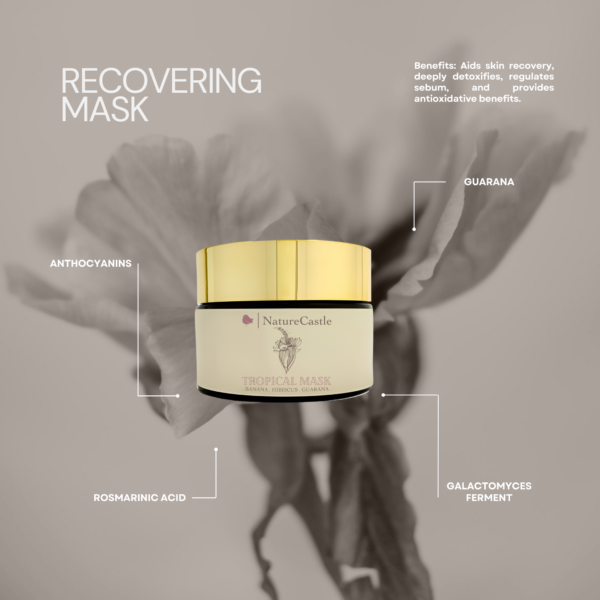 Recovering Mask Key Ingredients